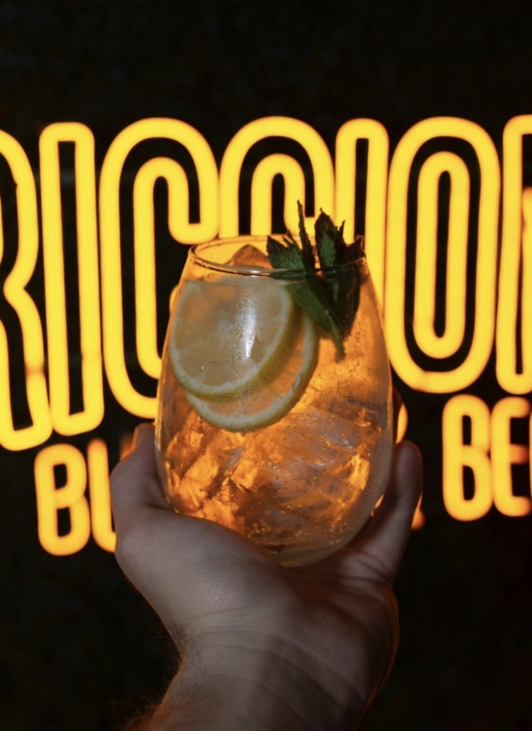 Hamburguesa Especial